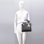 NEW CHRISTIAN DIOR HANDBAGS LADY DIOR CAL44550 N0 SHOULDER BAG/HANDBAG