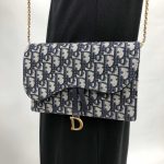 NEW CHRISTIAN DIOR BAGS SADDLE S5620 CTZQ 928 CROSSBODY BAG